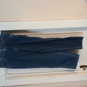 Lee Carpenter Jeans 24w NWT